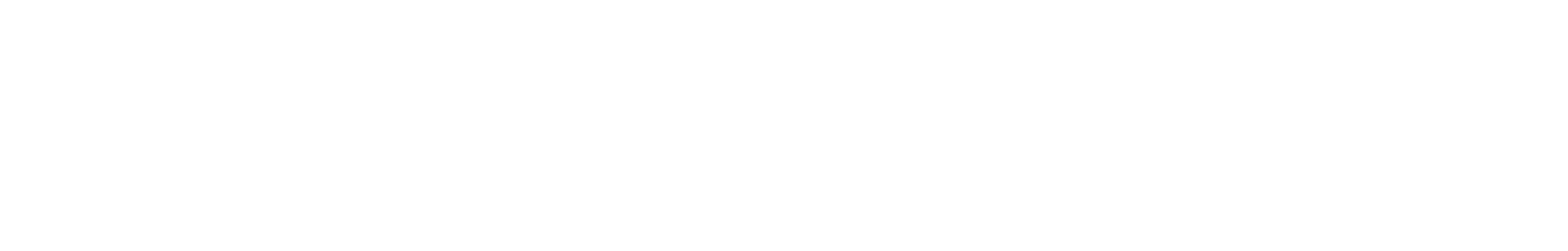 Wordmark, white on black